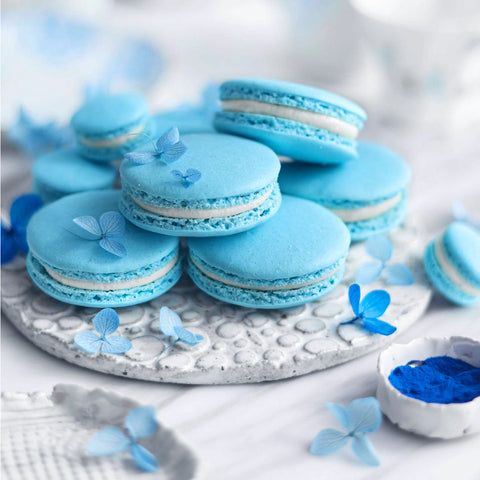 Aqua Blue Spirulina Macarons