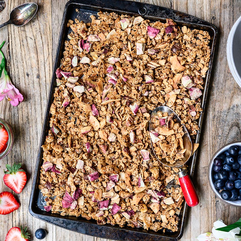 Suncore Foods Apple Chia Coconut Hemp Seeds Granola